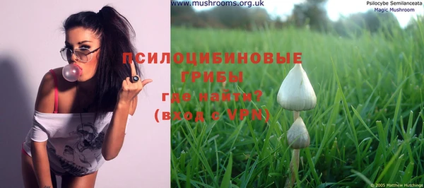 гашик Михайловск