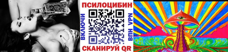 как найти закладки Новый Уренгой Галлюциногенные грибы Cubensis
