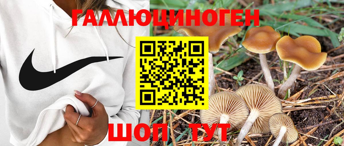 Новый Уренгой  Псилоцибиновые грибы Psilocybine cubensis  Галлюциногенные грибы ЛСД  Вход с VPN 